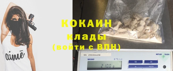 ECSTASY Алзамай