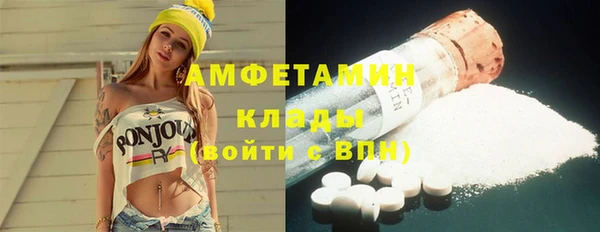 ECSTASY Алзамай