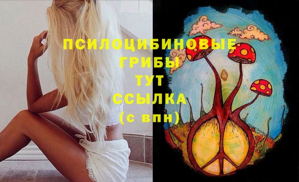 ECSTASY Алзамай