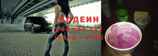 ECSTASY Алзамай