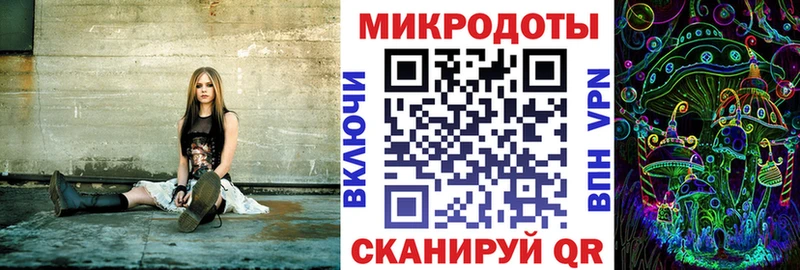 Псилоцибиновые грибы Cubensis площадка формула Удачный